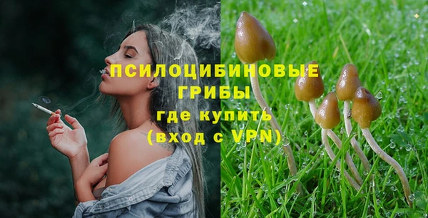 МДПВ Балахна