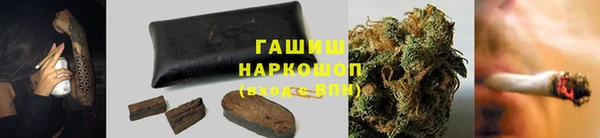 гашик Пестово
