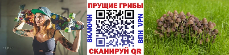 hydra ТОР Саянск Галлюциногенные грибы ЛСД